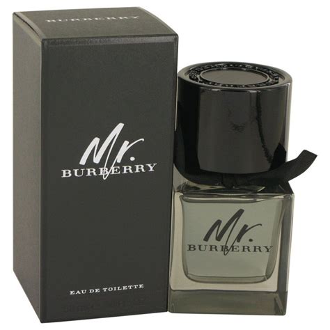 mr burberry cologne smell|burberry by for men cologne.